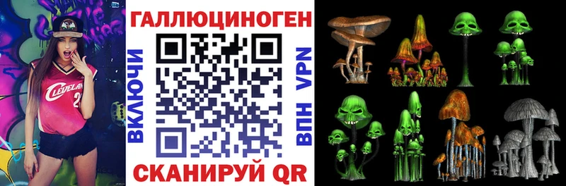 blacksprut ССЫЛКА  закладки  Шагонар  Псилоцибиновые грибы прущие грибы 